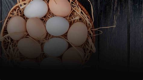 R­e­k­a­b­e­t­ ­K­u­r­u­m­u­­d­a­n­ ­y­u­m­u­r­t­a­ ­s­e­k­t­ö­r­ü­n­e­ ­s­o­r­u­ş­t­u­r­m­a­